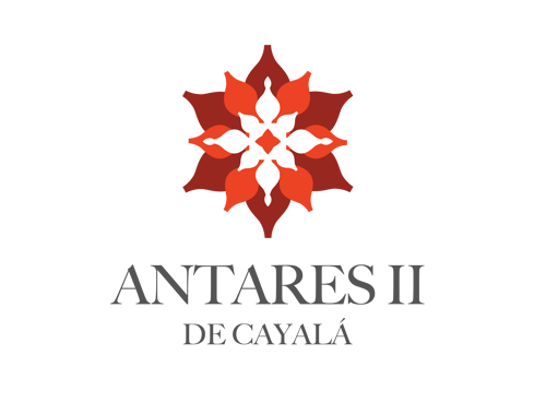 LOGO ANTARES II_NUEVO-01 (2)